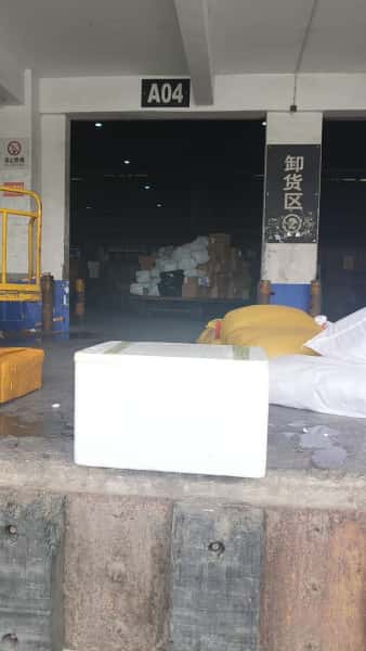 宁波栎社机场鲜活海鲜打包空运实景